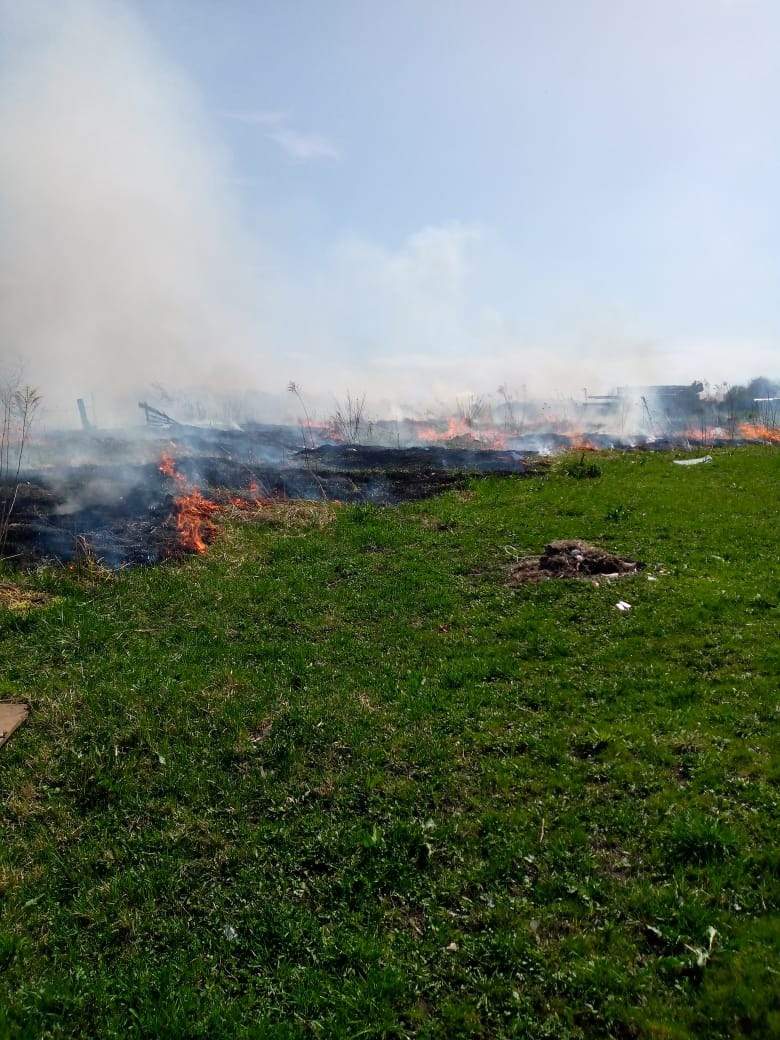 В Курской области составили 200 протоколов за сжигание сухой травы и мусора