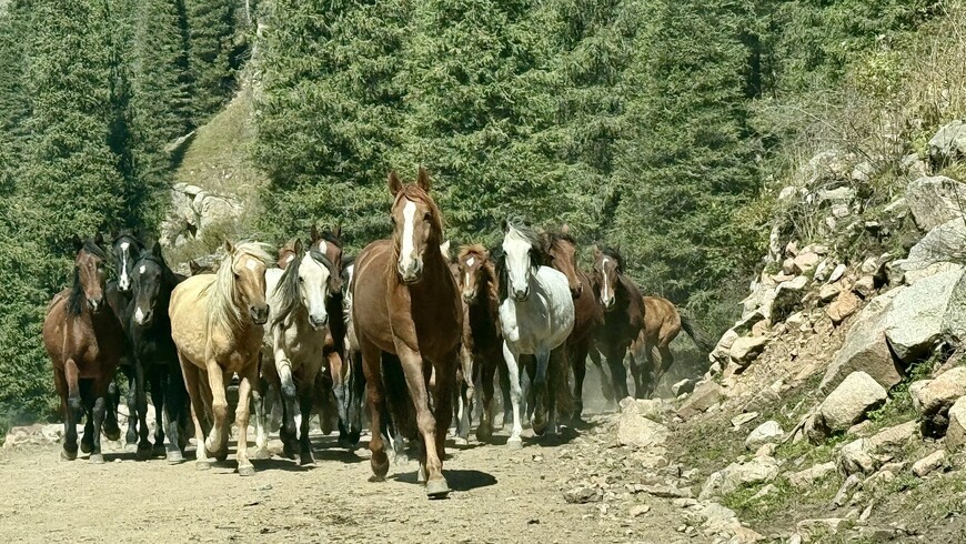 «Сказка» странствий