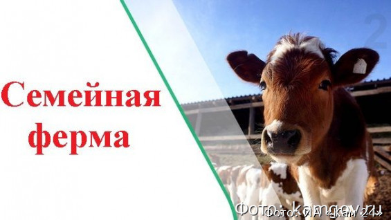 Камчатских фермеров приглашают поучаствовать в конкурсе на получение гранта