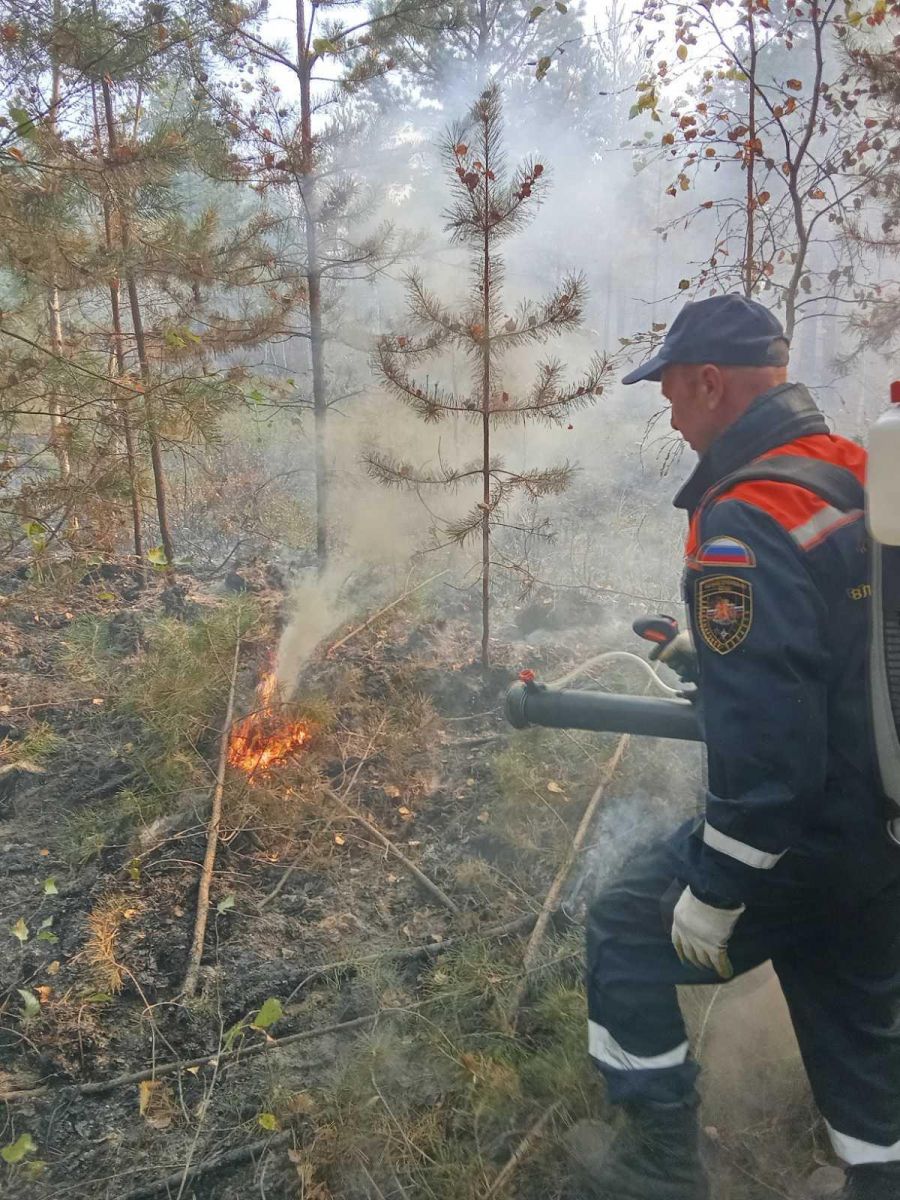 Лесной пожар во Владимирской области не заканчивается половину недели