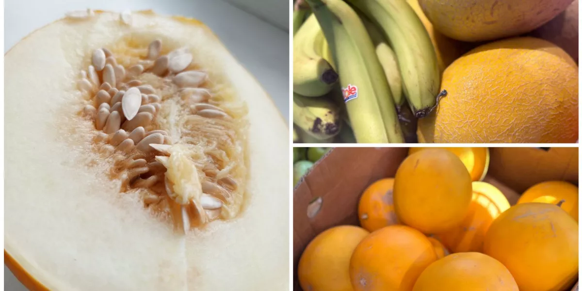 Сколько дней можно хранить дыню. Сколько дней можно хранить дыню. Хранение дыни. Как выбрать сладкую дыню торпеду. Сколько дней можно хранить дыню.