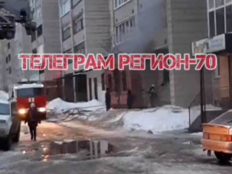 При пожаре в многоквартирном жилом доме в Томске задохнулись 11 кошек