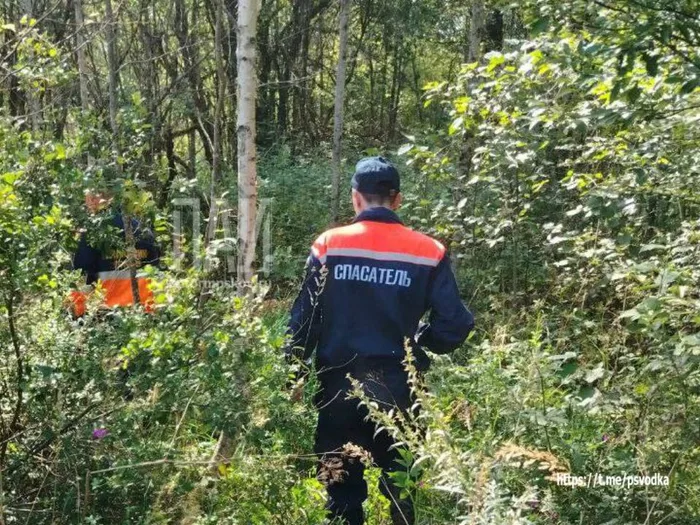 В лесном массиве найден мужчина (ФОТО)