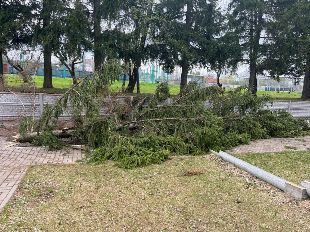 Ветер повалил деревья в Тарусском районе