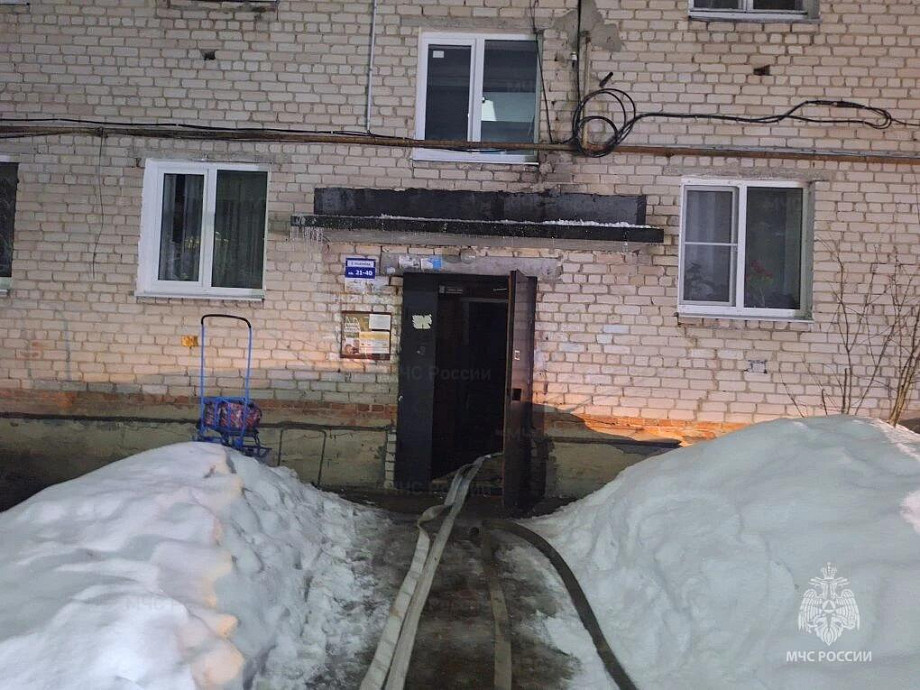 На пожаре в Петушинском районе пострадали два человека