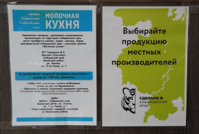 Губернаторский проект 
