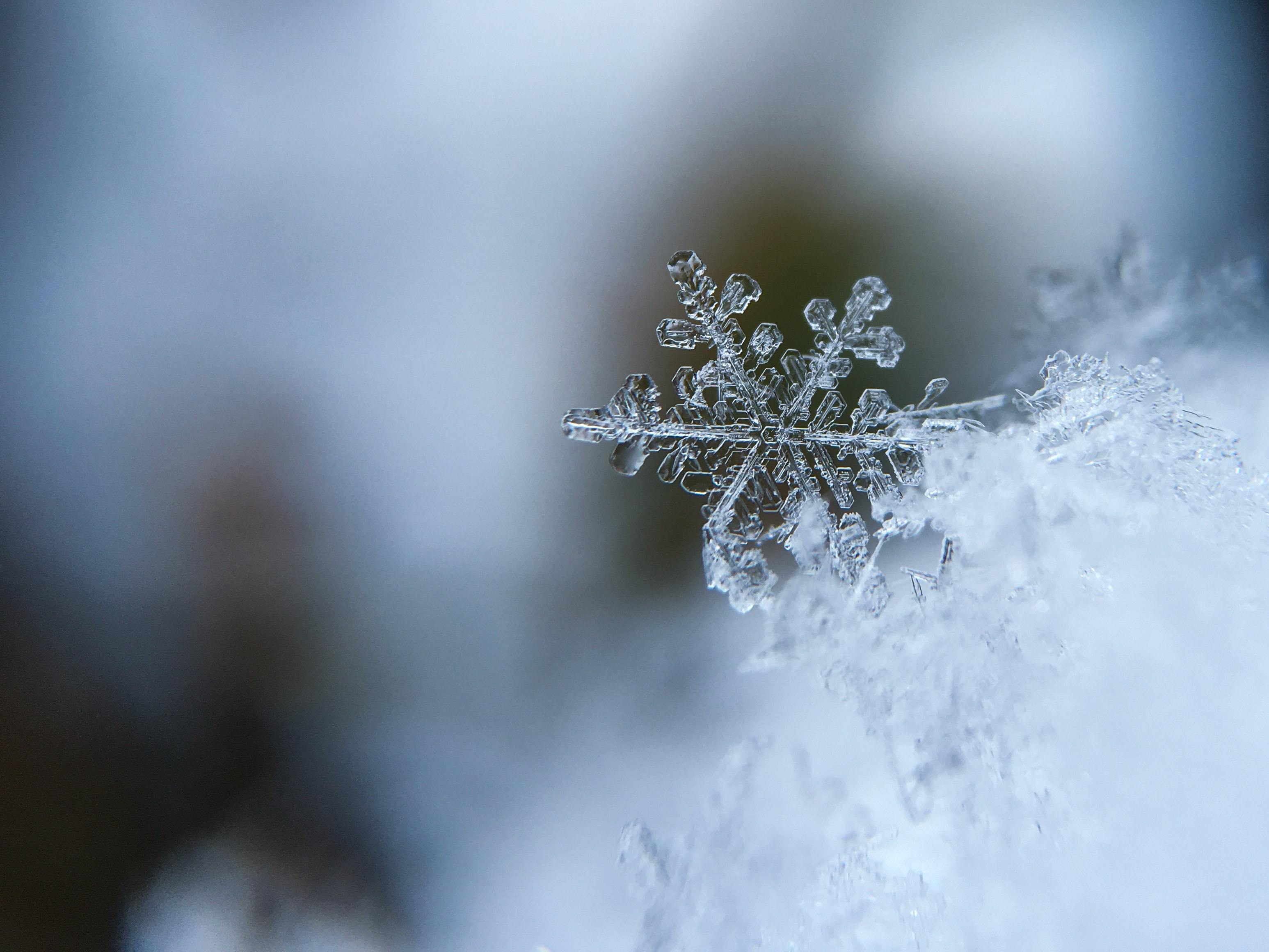 Winter snowflakes. Снежинки. Зима снежинки. Снежинки в воздухе. Снежинки снегопад.