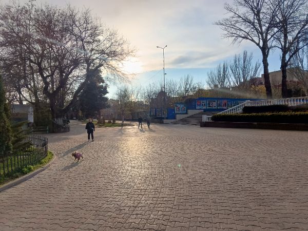 В Ростовской области в середине рабочей недели потеплеет до +27 градусов