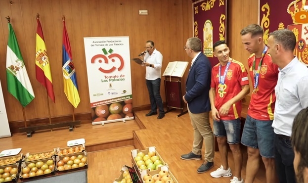 заявка сборной франции на евро 2024. бельгия чм 2022. сборная англии 2023. команда сборной англии. сборная англии состав на евро 2024.