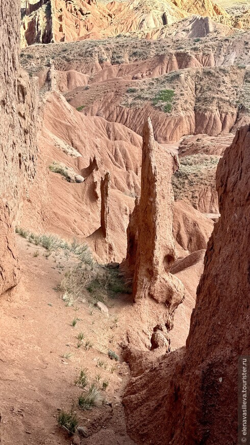 «Сказка» странствий