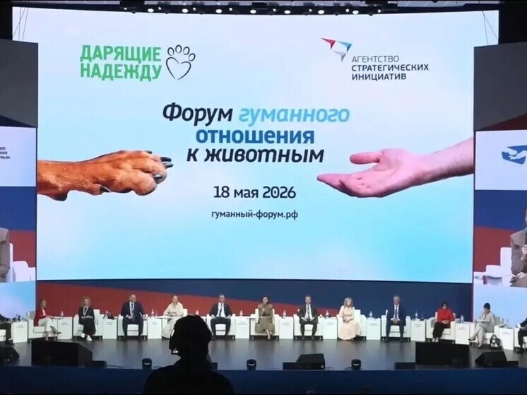 В Калуге обсудили гуманное отношения к животным