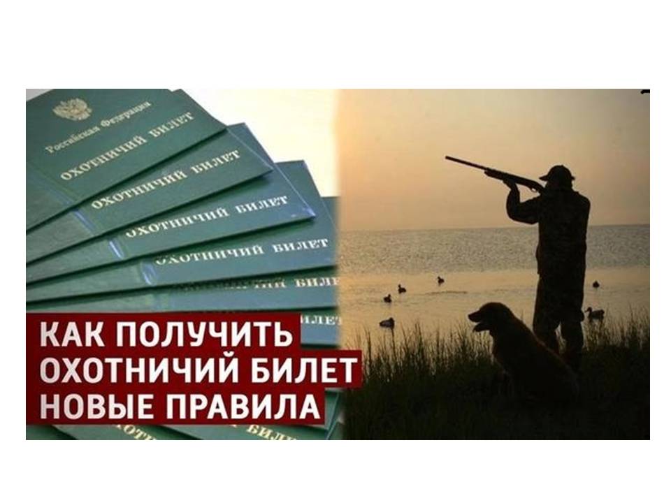 Уважаемые граждане, планирующие приобретение охотничьего билета единого федерального образца!
