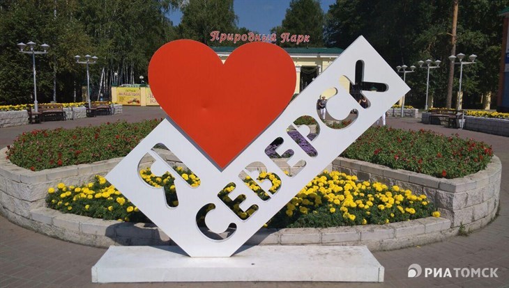 Деталь проект северск