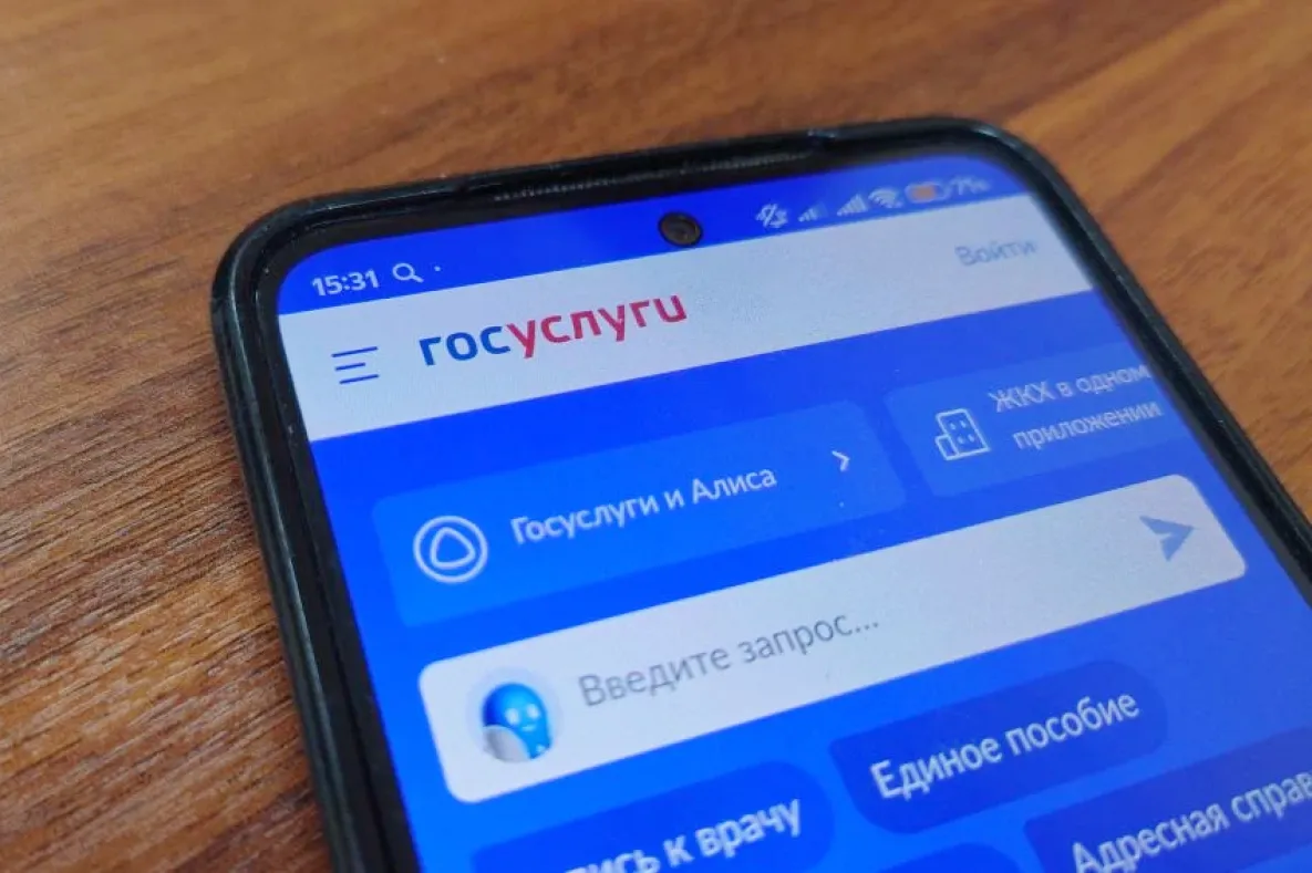 Для ветеранов СВО на «Госуслугах» появилась новая опция