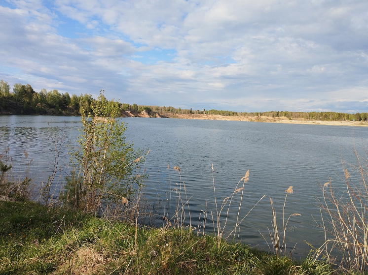Администрацию Александровского района Томской области обязали прекратить загрязнение озера Мелин