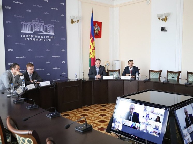 Депутаты ЗСК приняли участие в заседании Молодежного парламента при Госдуме