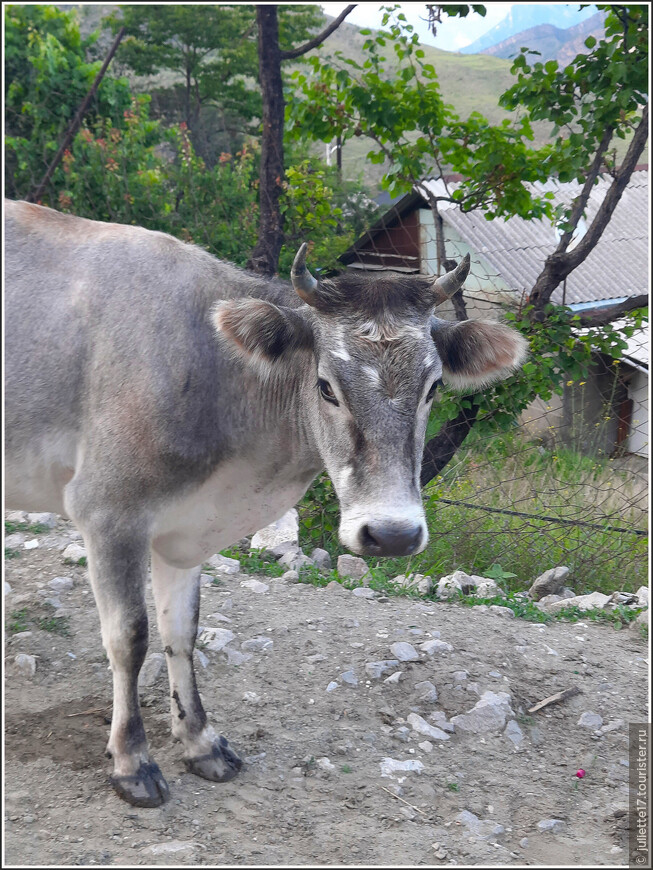Затерянный мир Сулакского каньона