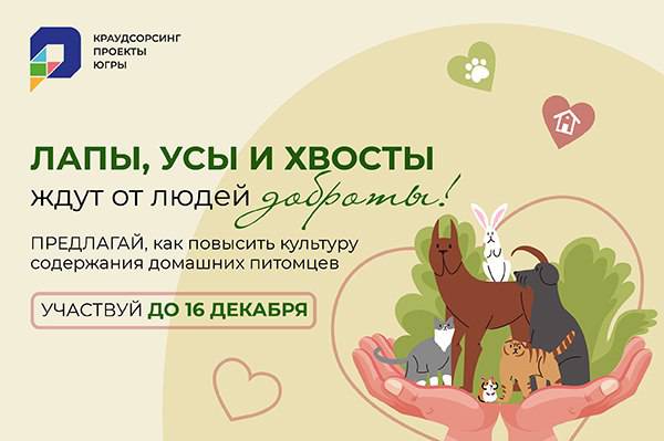 Кто сказал МЯУ? В Югре повышают культуру содержания домашних животных