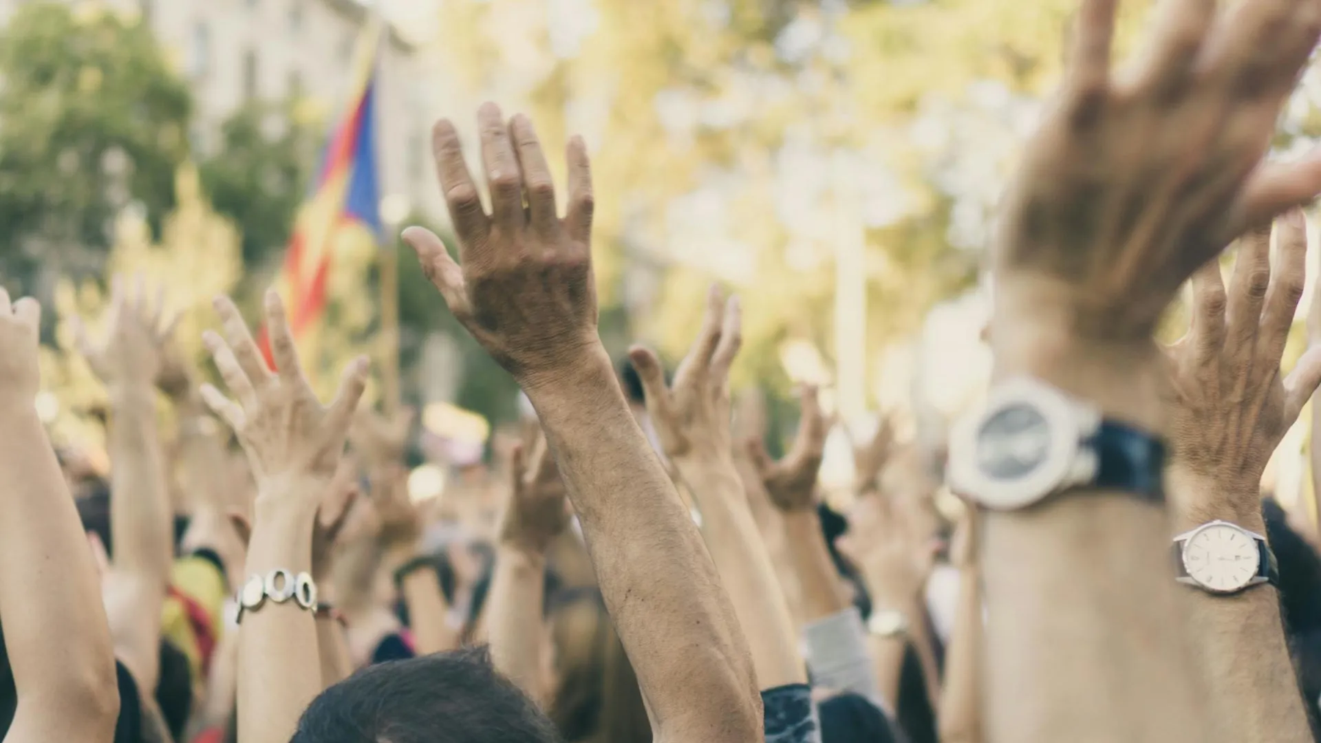 Большинство выступили против этого решения. Социальные движения. Протестующие. Политические движения картинки.