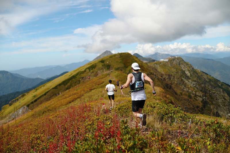 Rosa wild trail 110 км. Rosa wild fest. Rosa wild trail 2023. Rosa wild fest. Rosa wild fest.