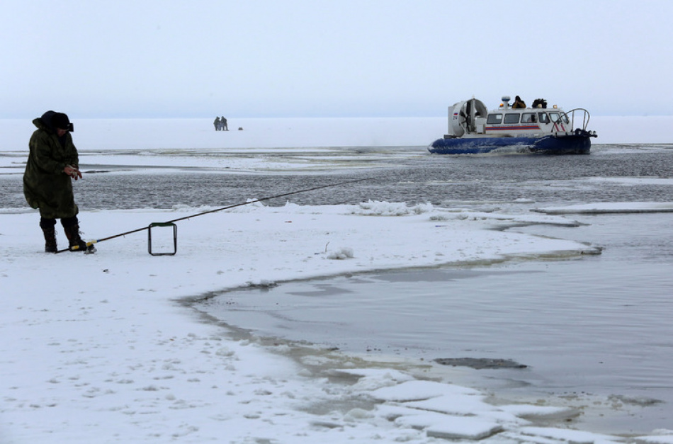В российской форели обнаружены опасные паразиты