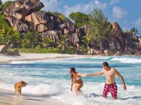 Сейшелы 2025: скажите «да» приключениям в тропиках