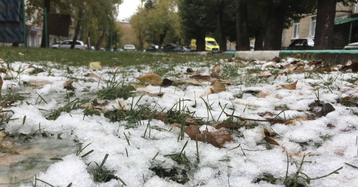 Когда потеплеет в татарстане. Похолодание в Татарстане. Аномальные заморозки. Заморозки в Татарстане. Потепление в Татарстане.