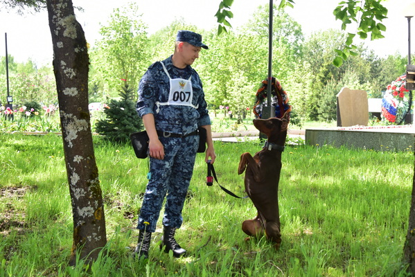 В Подмосковье стартовал Чемпионат ФСИН России по многоборью кинологов 