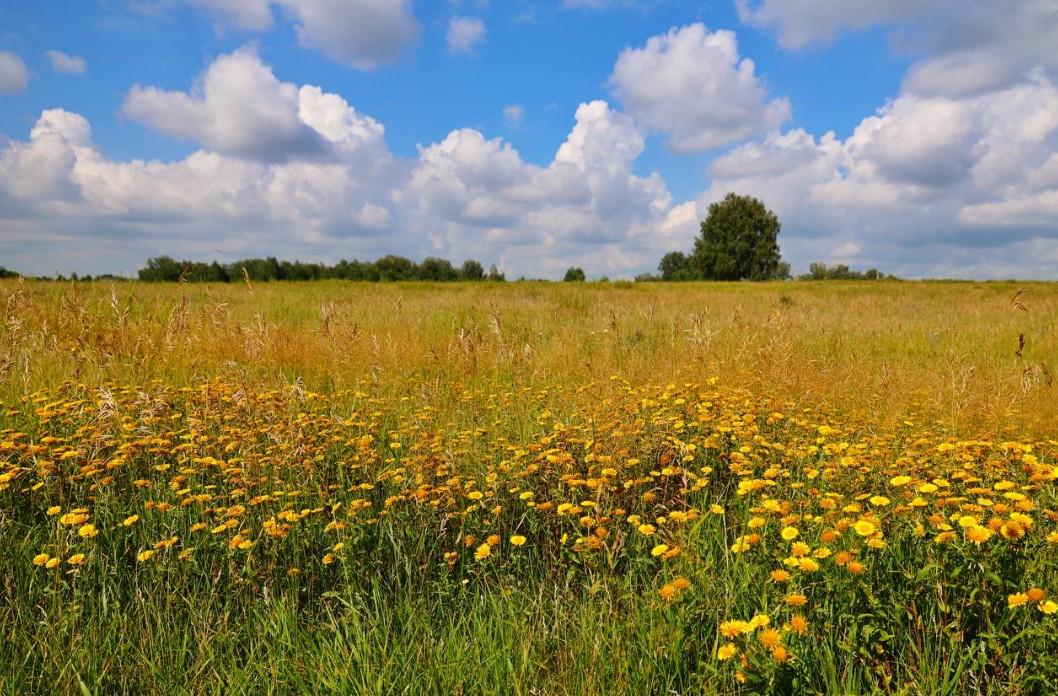 Фото: Екатерина Сычкова / URA.RU