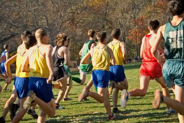 По всей России проходят спортивные шествия «Здоровое Отечество»: возрождая Дня физкультурника (ВИДЕО)