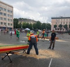 Чувашские профессионалы покорили межрегиональный конкурс «Лучший вальщик леса-2024» 2024 - Год экологической культуры и бережного природопользования 