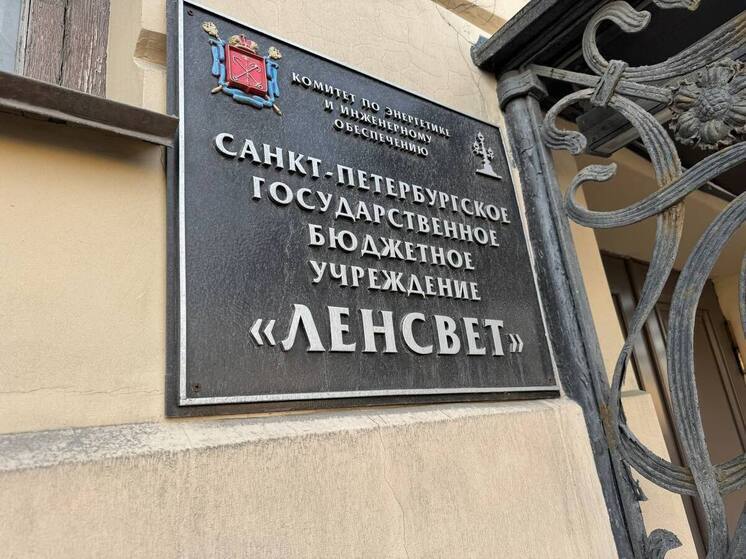 «Ленсвет» предостерегли за работы с просроченным ордером в Колпино