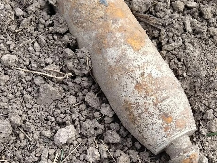 Опасную находку обнаружили в Гатчинском округе