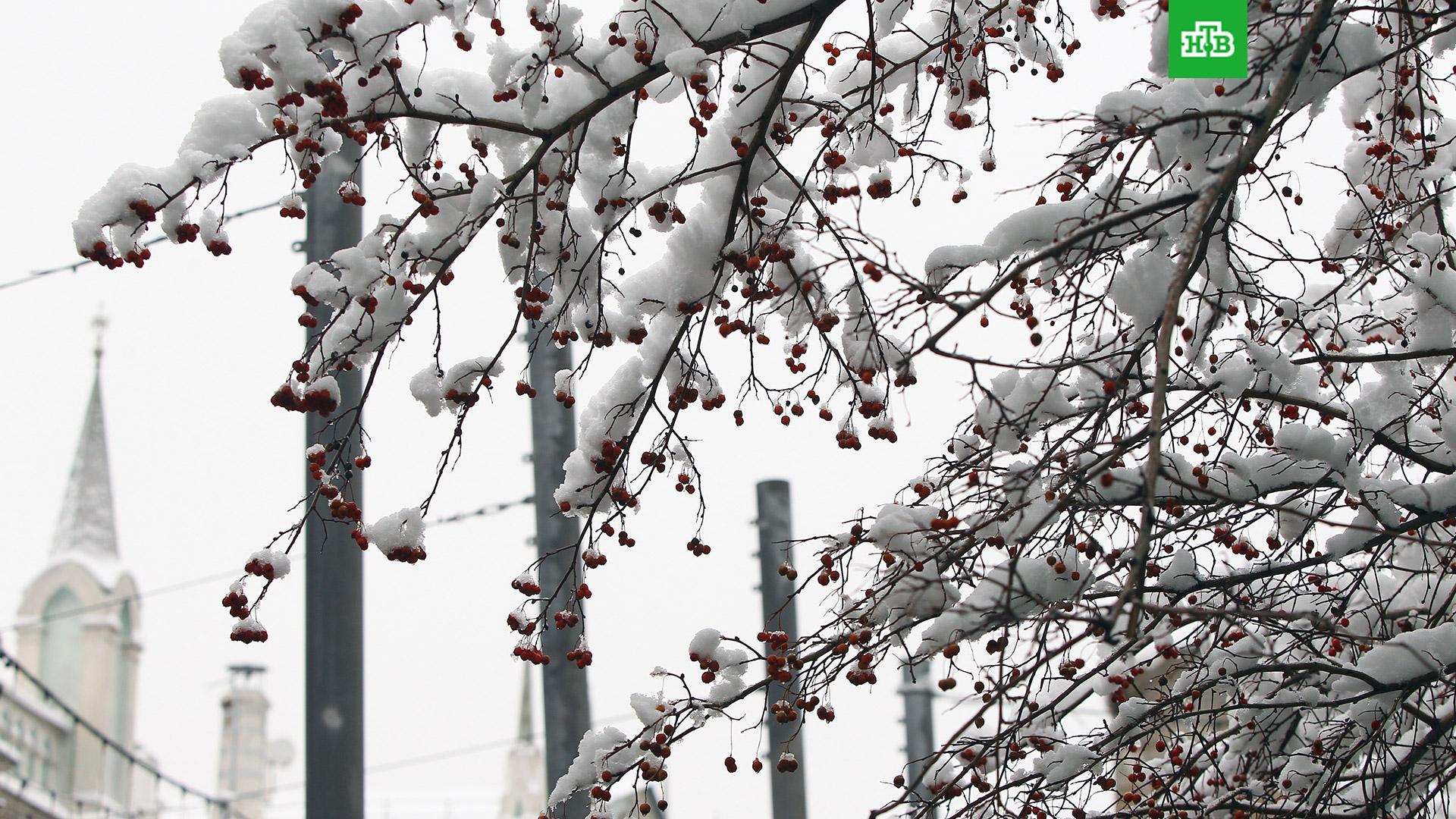 Гидрометцентр декабрь 2022. Зимний морозный декабрь. Март температура. Гололедица в москве. Гидрометцентр декабрь 2022.