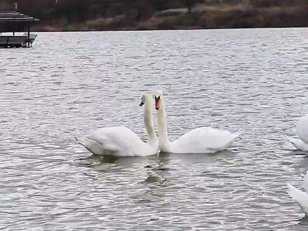 Быть полностью самостоятельным хорошо потому