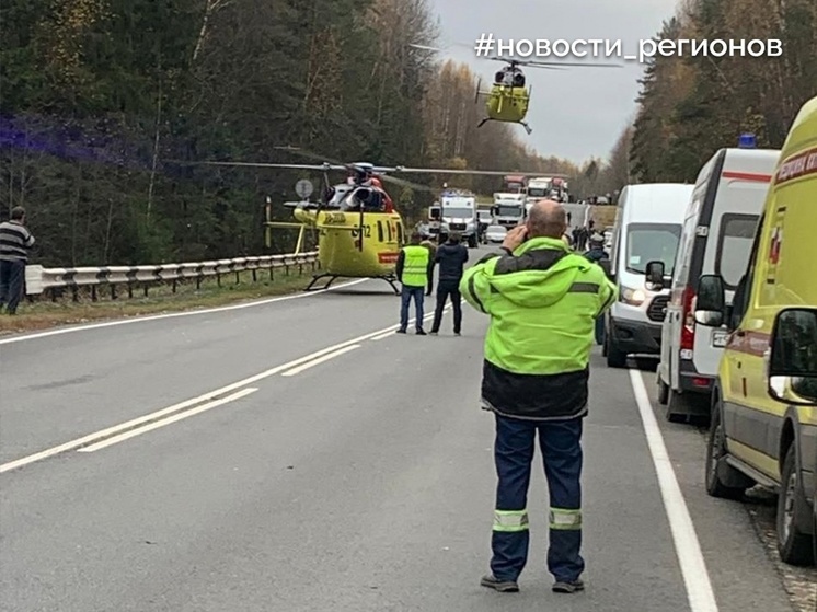 Владимирская авиабригада вызвана на спасение пострадавших от жесткой посадки вертолета в Нижегородской области