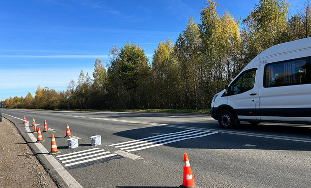 В Кировской области на 25 участках дорог установят шумовые полосы