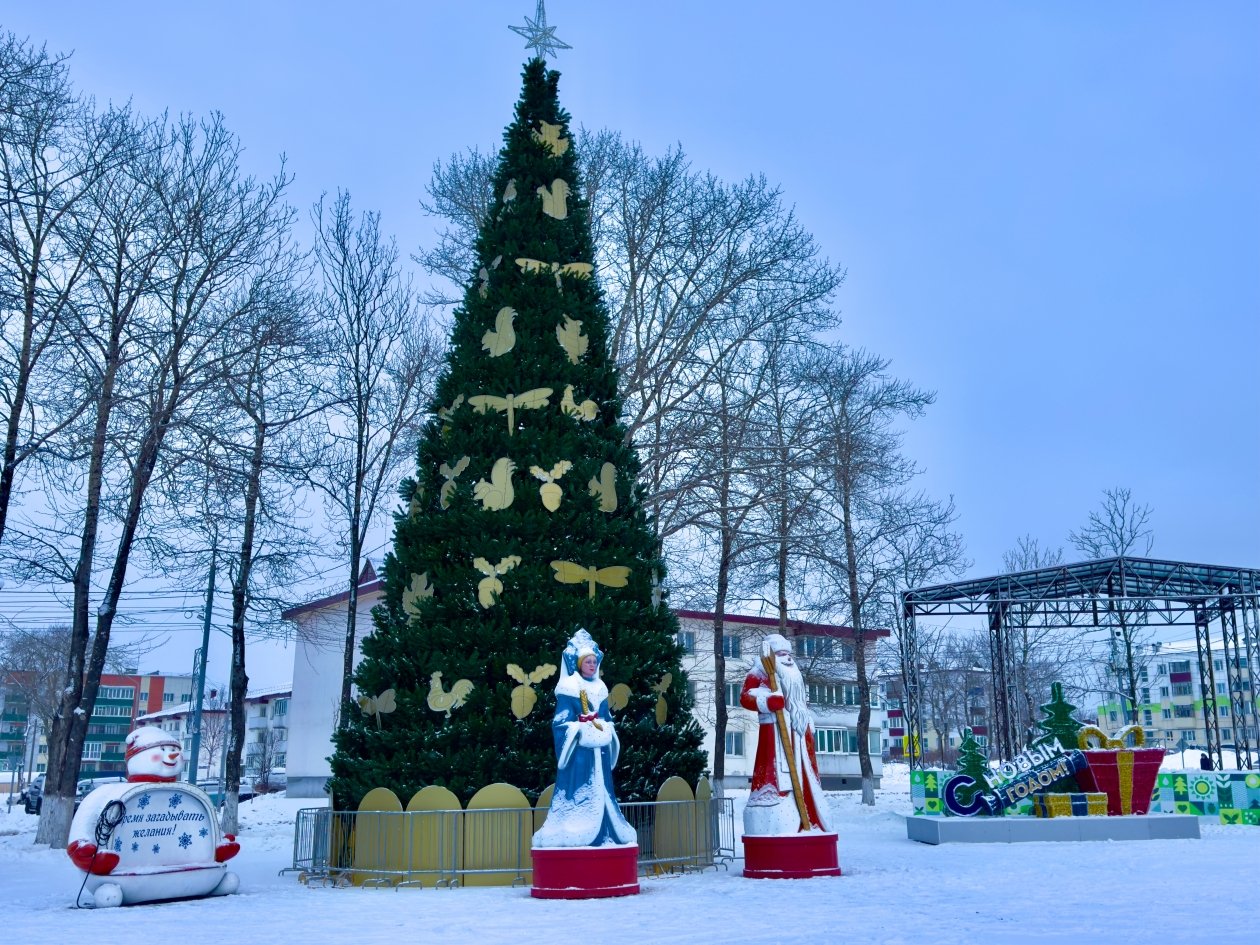 представлено администрацией Долинского муниципального округа