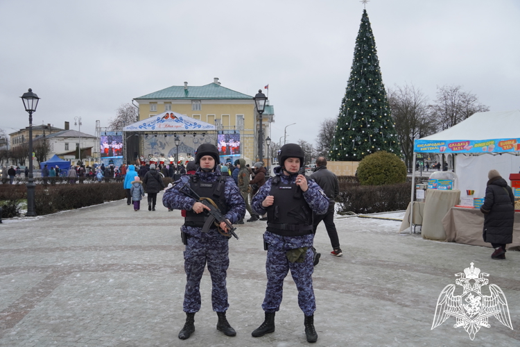 17 правонарушений пресекли сотрудники вневедомственной охраны Росгвардии за новогодние праздники в Костроме