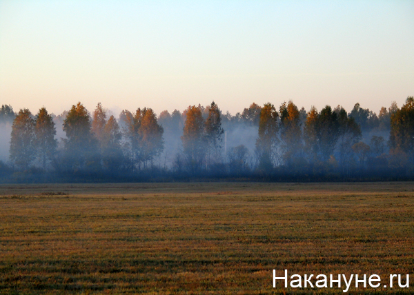 Плотная пелена. Пелена дымка. Торфяники Свердловской области. Пелена тумана. Деревня пелена.