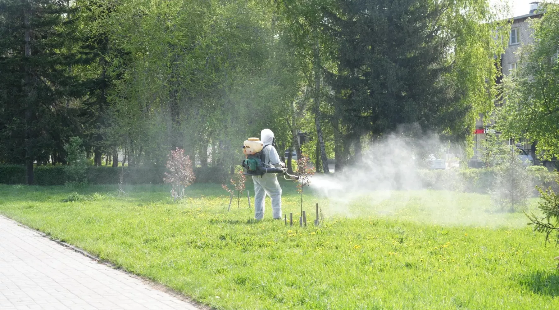 В Бийске начали обработку общественных мест от клещей
