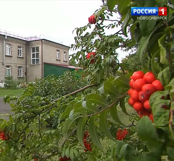 Баганский район