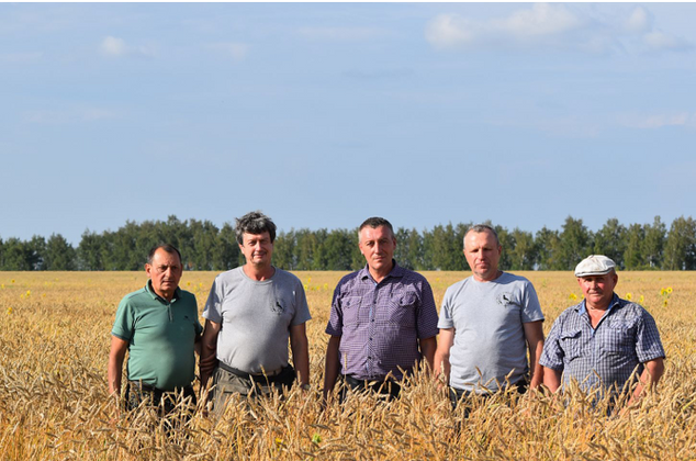 Ученые АлтГУ работают с фермерами по развитию цифровизации агробизнеса в регионе