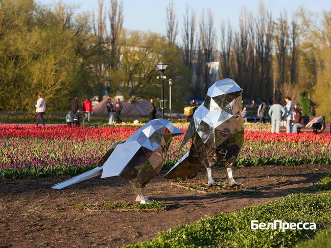 Как отдохнуть белгородцам 8–11 мая - Изображение 1