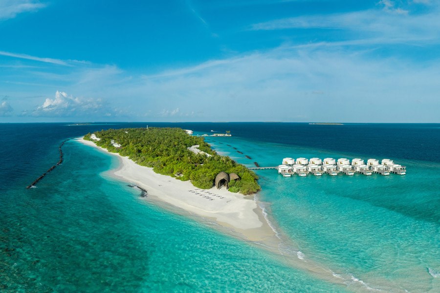 Новые горизонты