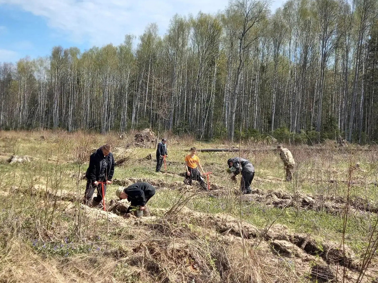 «Лесной патруль» Мещовска показал себя в действии