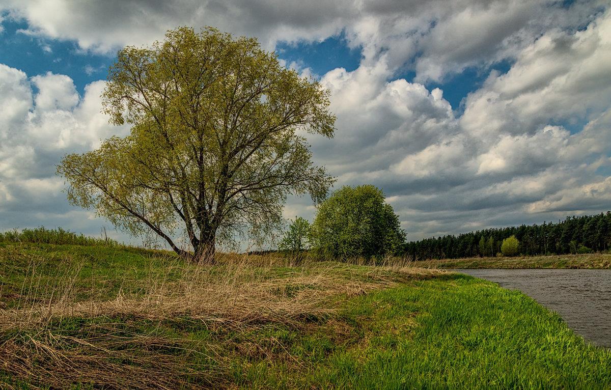Пасмурно (Много фото) - treepics.ru