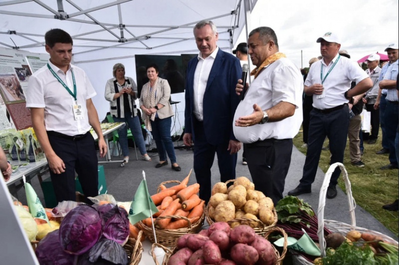 В Новосибирской области состоялся День поля 