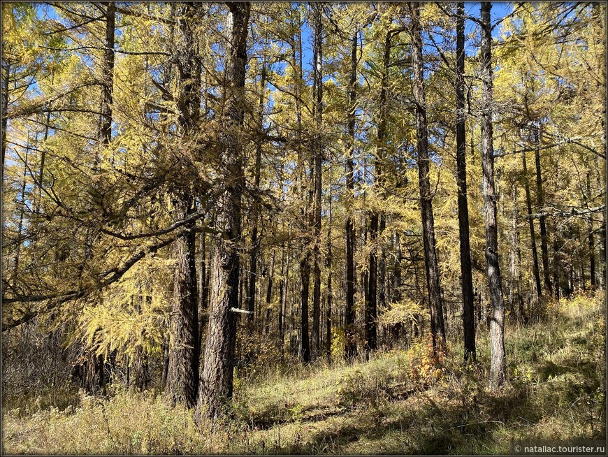 «Осенние краски Уймонской долины». Прощальный день: на гору Маяк с закрытыми глазами, посиделки на берегу Катуни и у костра в ночи 
