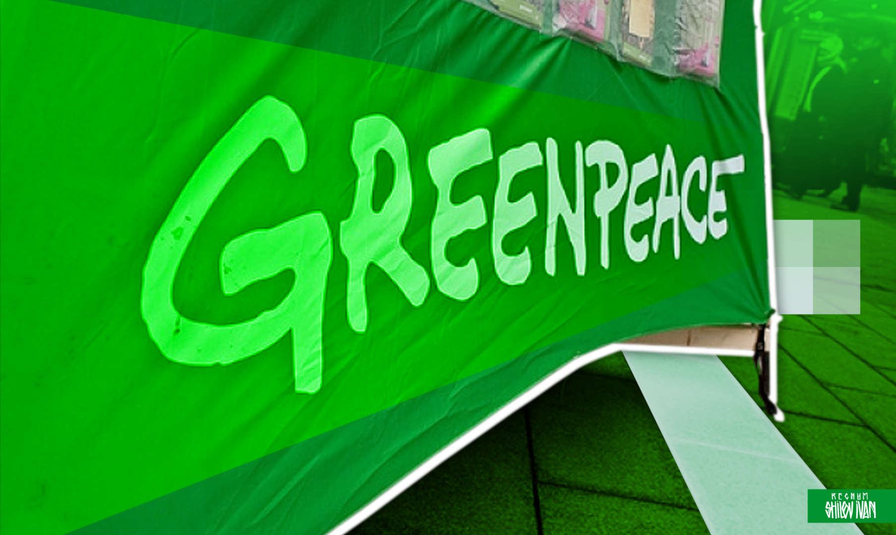 Генпрокуратура признала нежелательной деятельность Greenpeace